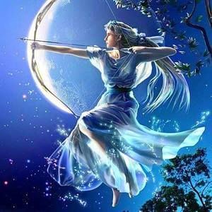 Meet your Posher, Joyce